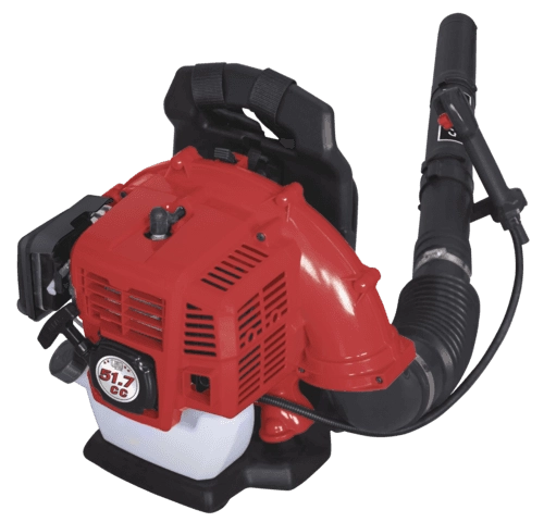 Souffleur à Dos Thermique LB5200BP SCHEPPACH - 1.9CV 295 Km/h - 5911103903 3 Souffleur à Dos Thermique LB5200BP SCHEPPACH - 1.9CV 295 Km/h - 5911103903 – Image 3