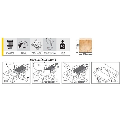 Scie à Onglet FEMI Avec Déligneuse - 1200W Ø254mm - TR245 2 Scie à Onglet FEMI Avec Déligneuse - 1200W Ø254mm - TR245 – Image 2
