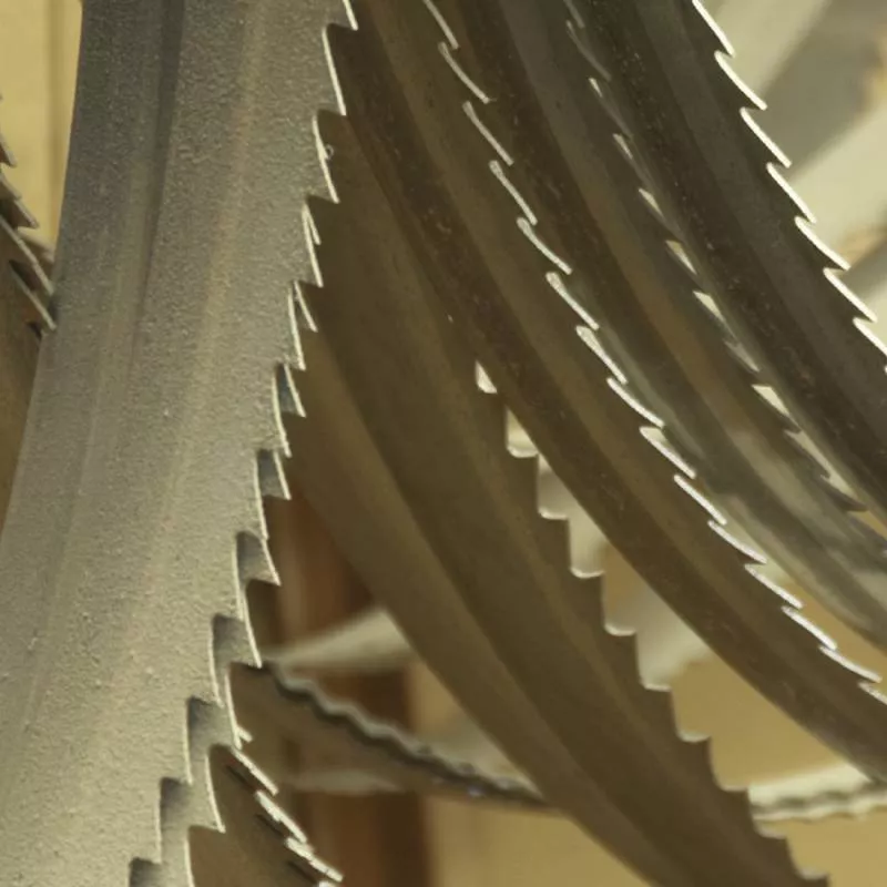 Lame Scie Ruban 14 Z/1" 1440x13x0.65 Mm FEMI 784 XL - 3289999 1 Lame Scie Ruban 14 Z/1" 1440x13x0.65 Mm FEMI 784 XL - 3289999